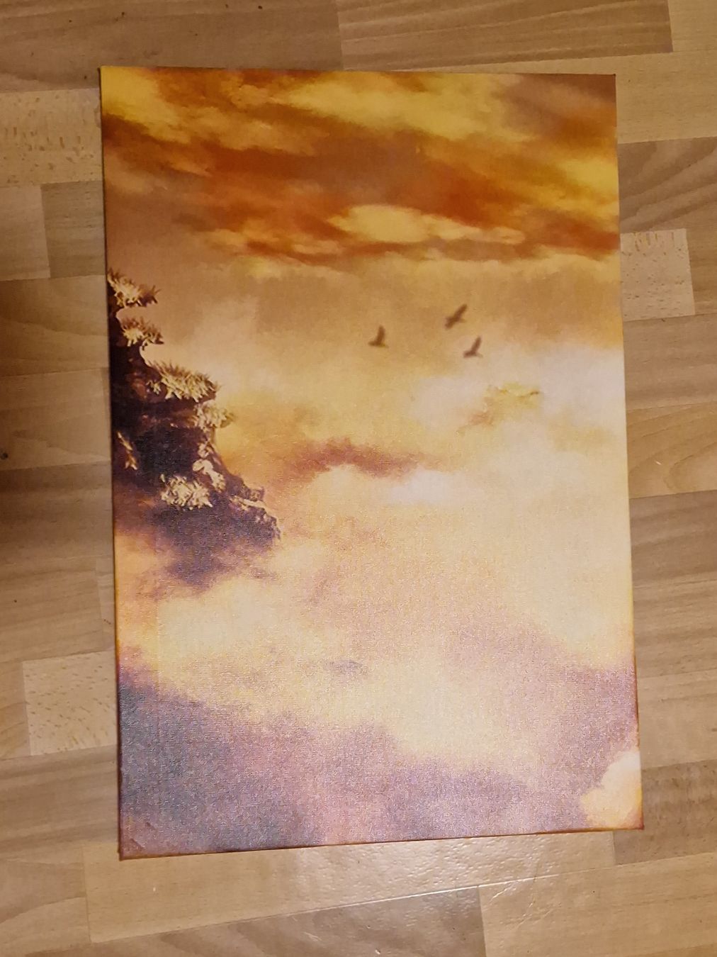 Dipinti: Quadro Dragon Ball su tela 5 pezzi – Usato da Lugano venduto da Doppia_B 1