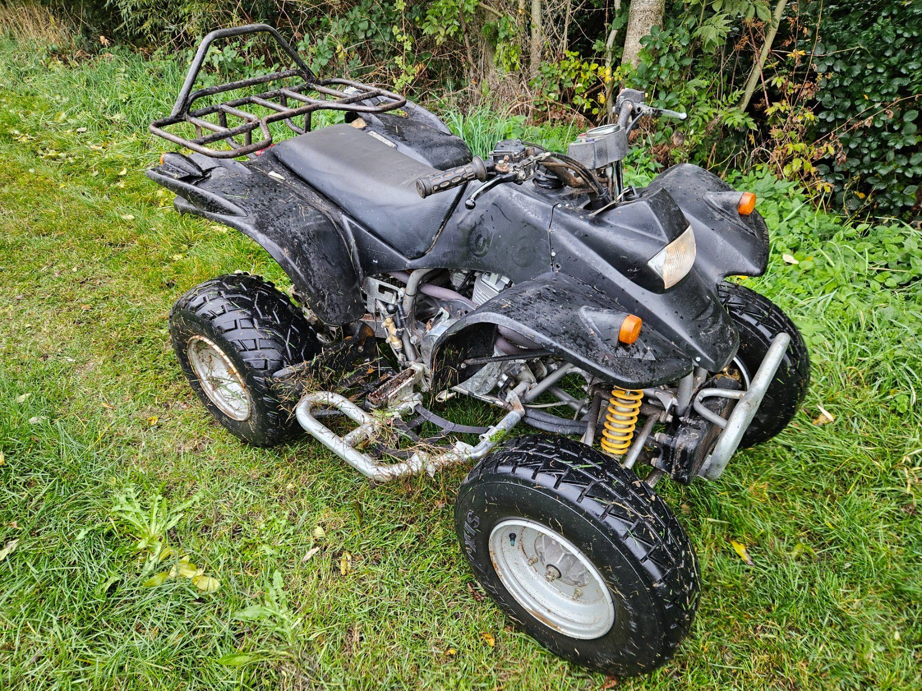 Smc (Sm) ATVs / Quads: SMC Blast 250 – Gebraucht aus Oberburg von goldoni19