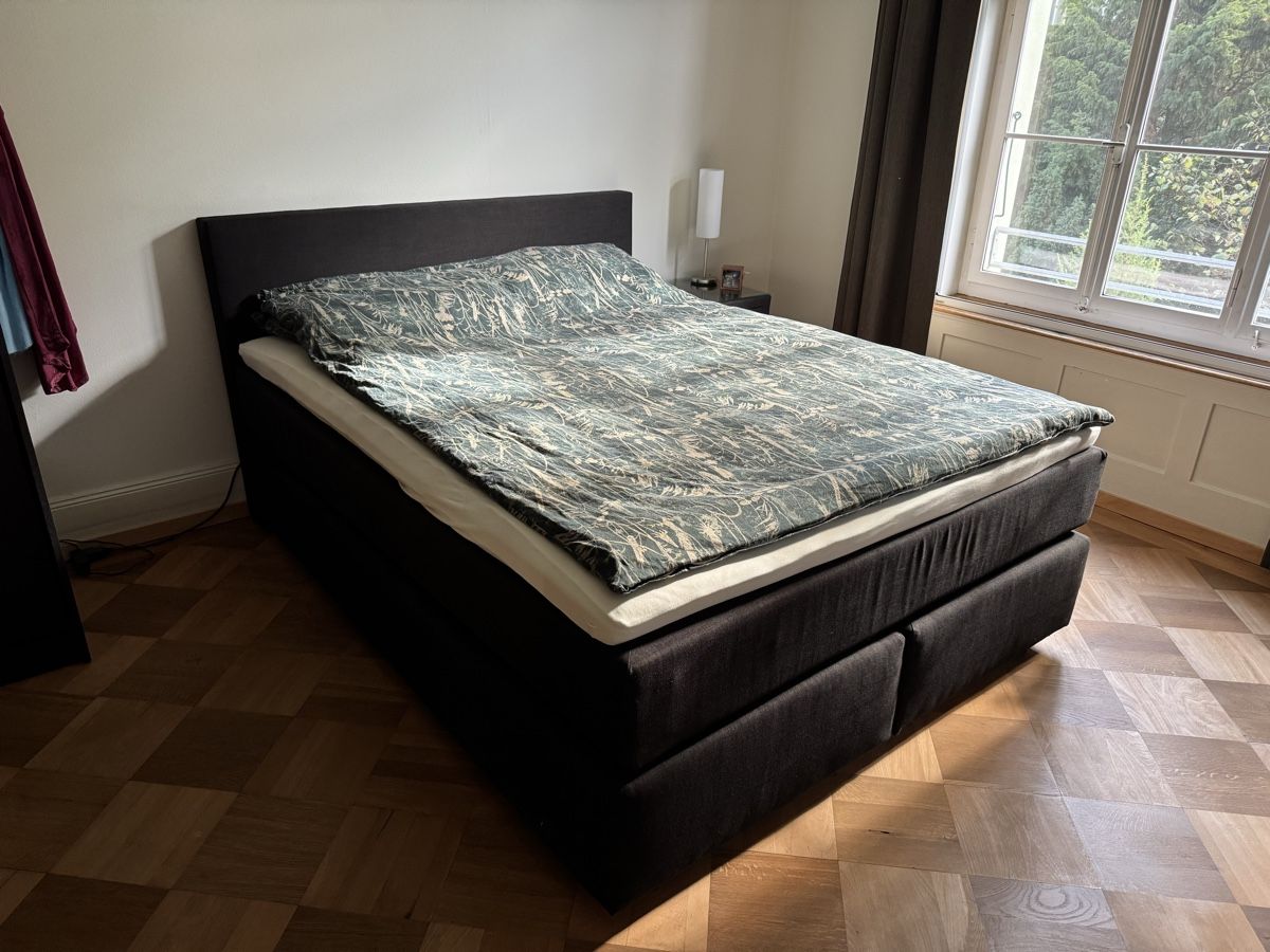 Letti: Boxspringbett 160 x 200 cm – Usato da Bern venduto da CheetahPaw