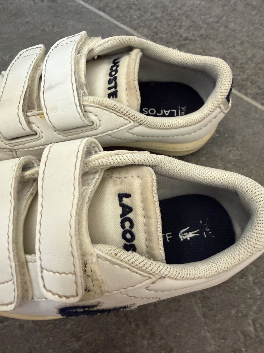 Lacoste Scarpe per ragazzi: Lacoste Sneaker Gr. 22 – Usato da Küsnacht ZH venduto da ToddyGinger 1