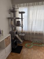 Katzenzubehör 