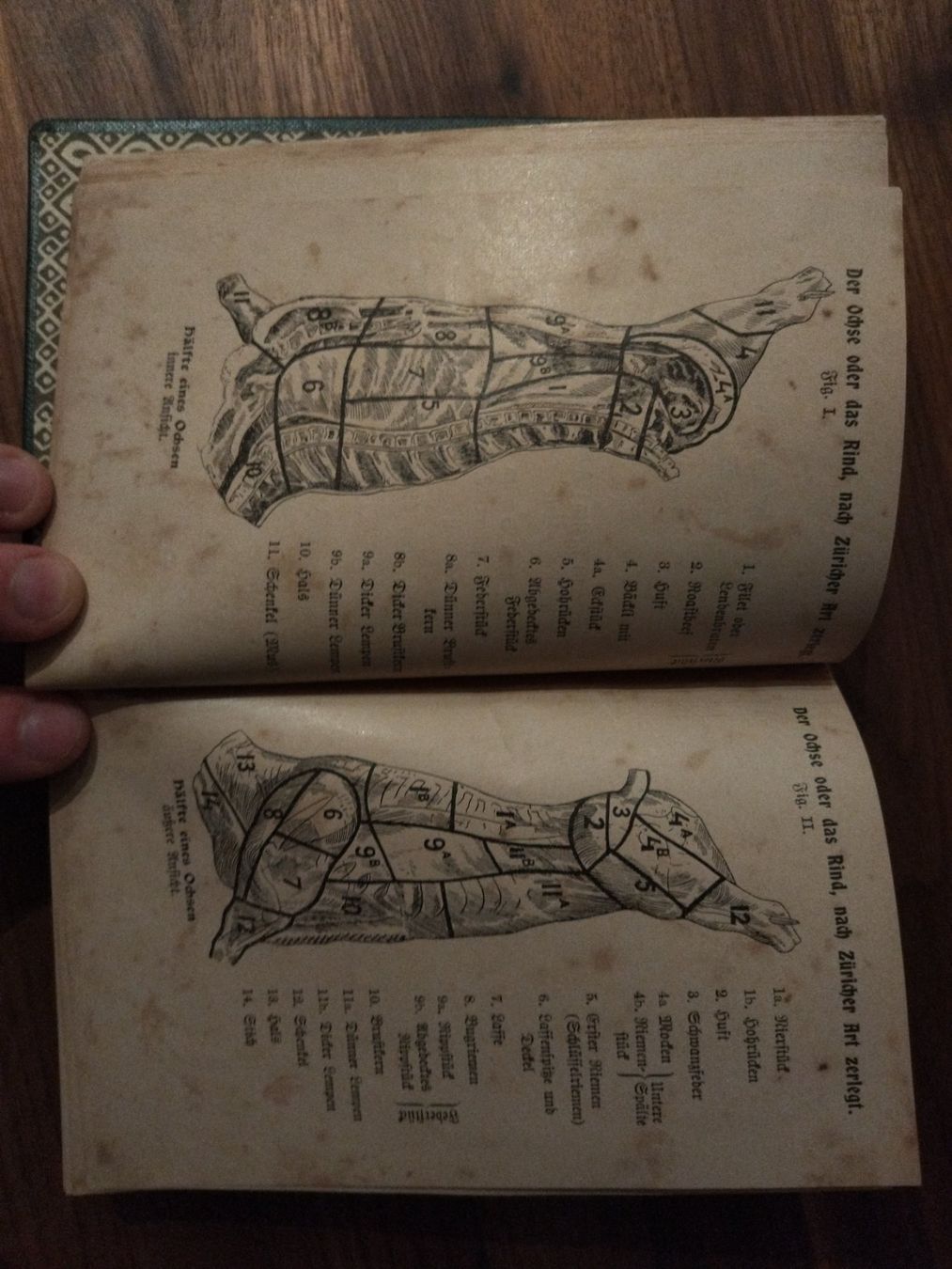 Libri: Kochbuch antik 1903 Grittli – Usato da Felben-Wellhausen venduto da bananajoe8474 4