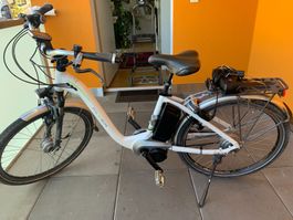 E-Bike Flyer Next Generation klein