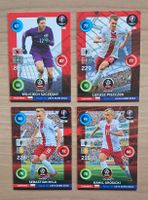 Polen - Adrenalyn XL Road to Euro 2016 Karten