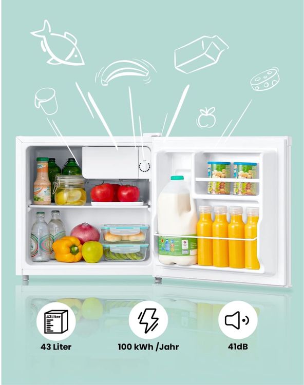 Mini Kühlschrank / 43L Kühlbox mit Eisfach/Kühlschrank