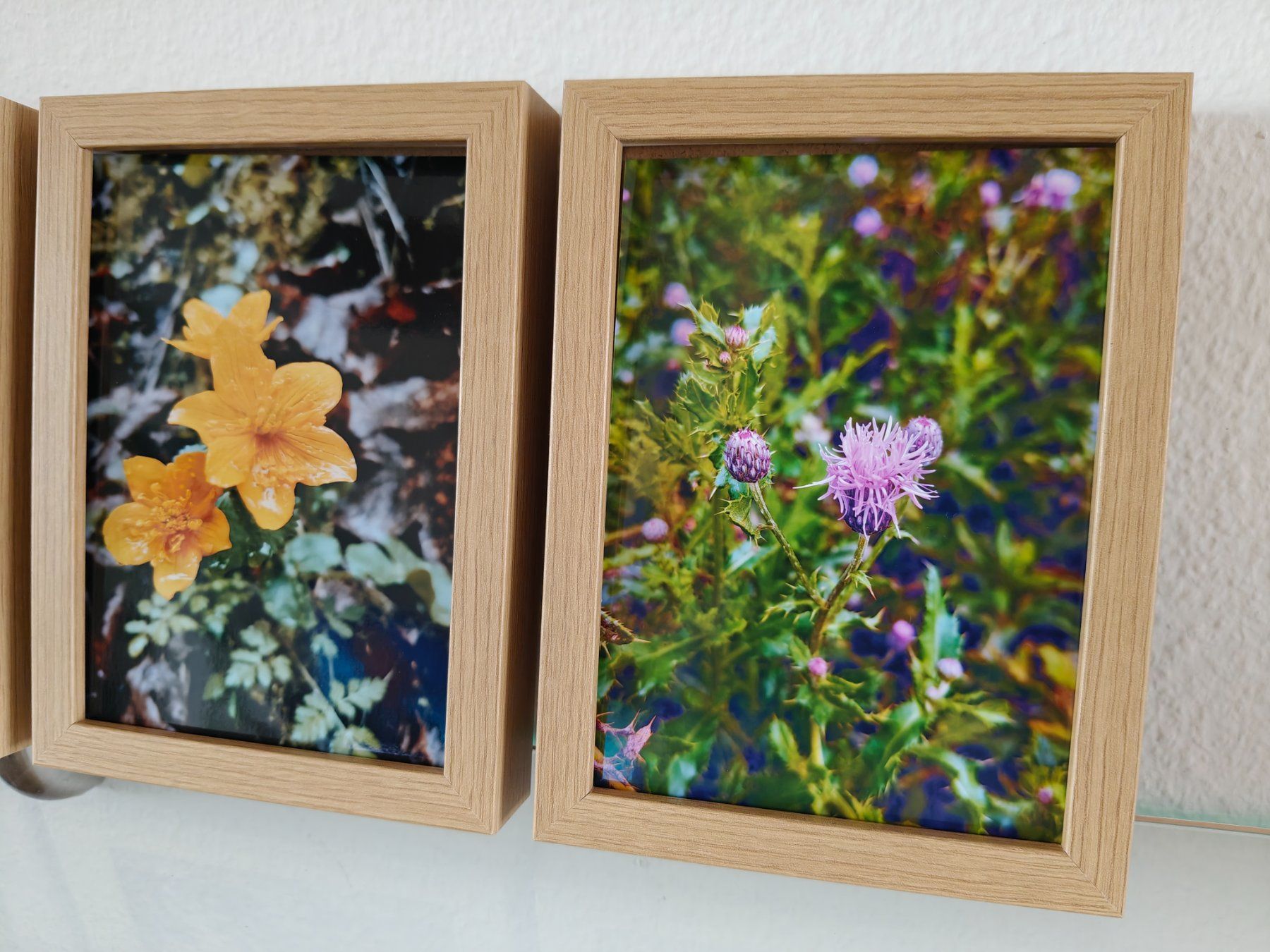 Foto & Immagini: Farbfotografie Herbst, drei Bilder – Nuovo e nell'imballaggio originale da Winterthur venduto da GDaniela 2