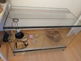 Terrarium Glas mit Zubehör gebraucht 100x50x70