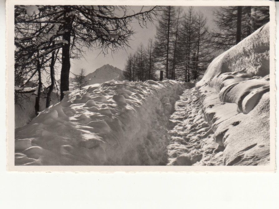 Ansichtskarten: Davos Grüeni Waldweg ca. 1940 – Gebraucht aus Bürglen TG von StampGraf