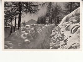 Davos Grüeni Waldweg ca. 1940
