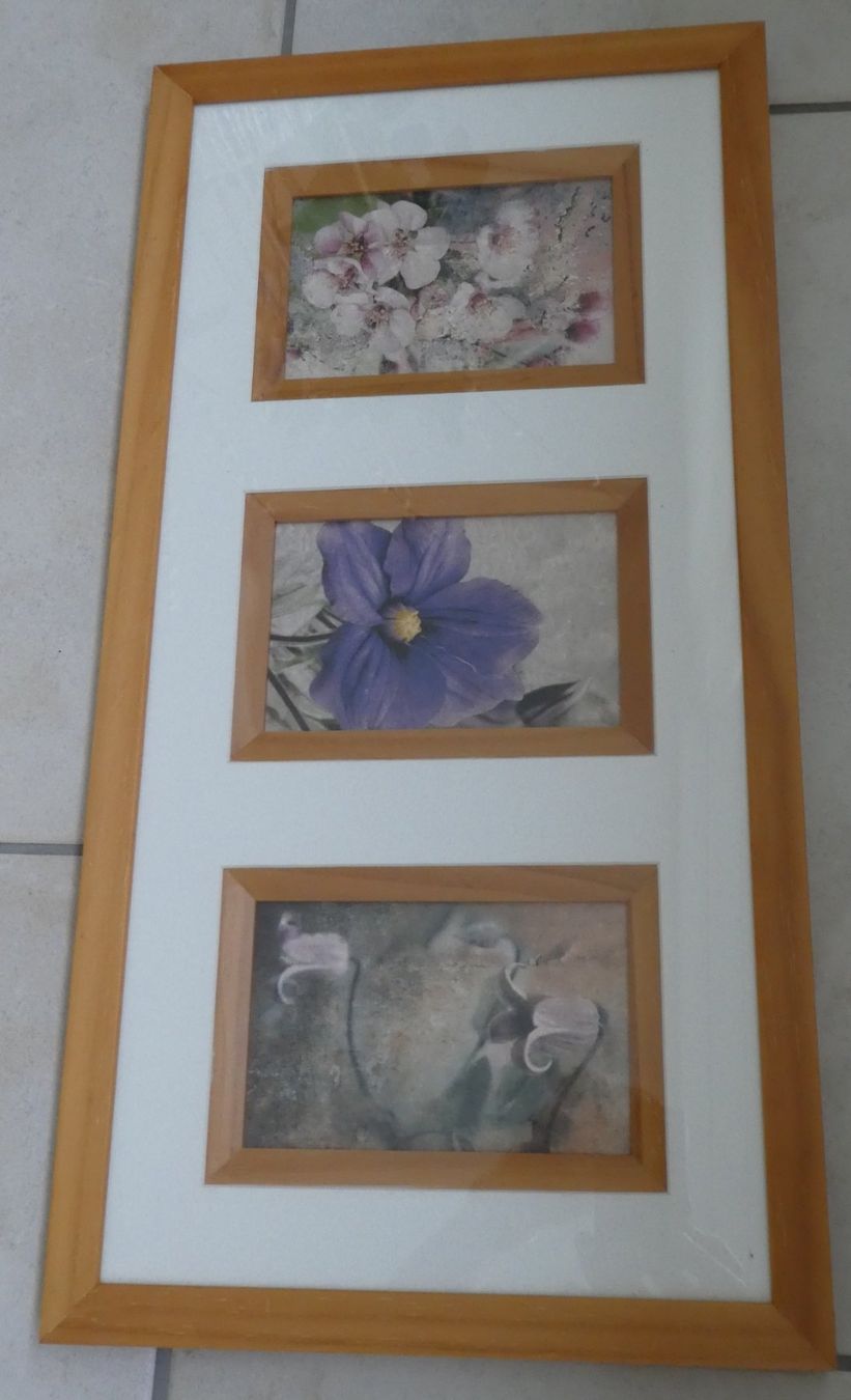 Cornici: Bilderrahmen 27x53 cm – Usato da Goldau venduto da Aizo