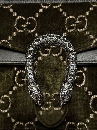 Gucci Dionysus velvet