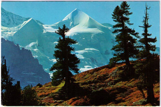 Cartes postales: Silberhörner – D'occasion à Binningen par Mountainrider