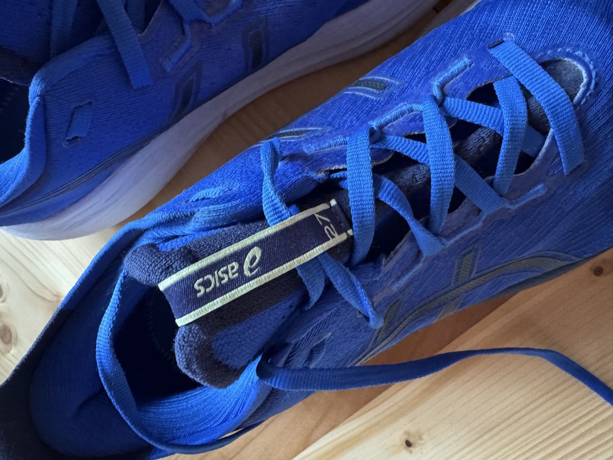 Asics Scarpe da uomo: Asics Laufschuhe, Grösse 46 – Usato da Au ZH venduto da e.nila 1