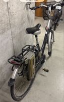 Giant E-Bike Citybike mit 2 Akkus und Ladegerät