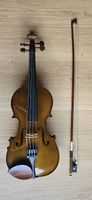 Violino Stentor Student 1/2