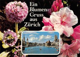 alte Ansichtskarte aus Archiv: DEUTSCHSCHWEIZ - ab 1.--