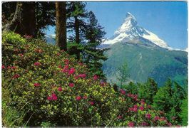 AK Riffelalp ob Zermatt mit Matterhorn - Rarität!🏔️🇨🇭