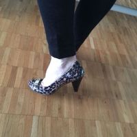 Pumps TIGER D&G