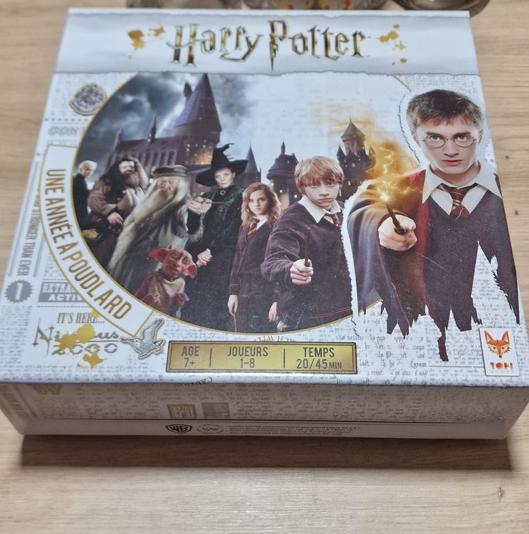 Fiche Personnage Drago Malefoy - Jeu Harry Potter Une Année à Poudlard (Topic Games)