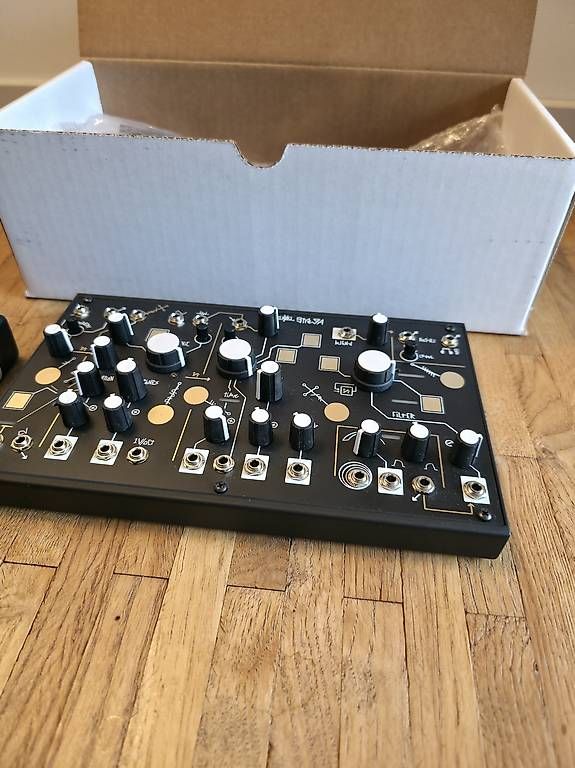 Musikinstrumente: Make Noise Strega – Neu und originalverpackt aus Bern von fre_22ld 1