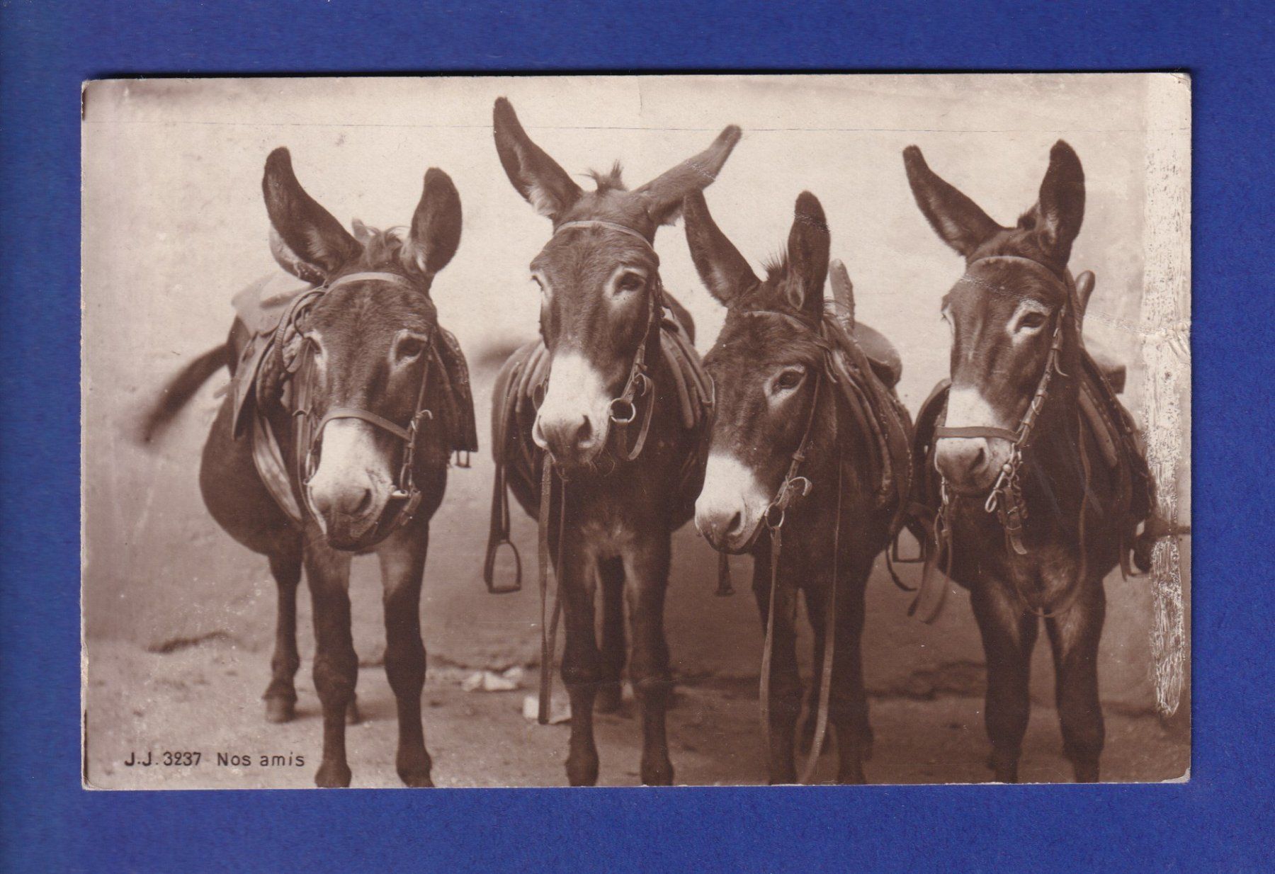 Cartoline postali: ANE - Nos Amis – Usato da Pully venduto da nicecards-shop