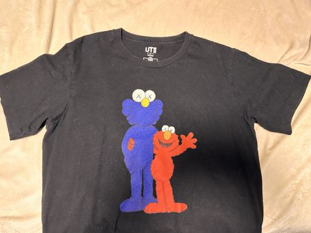 Kaws Sesame Street M