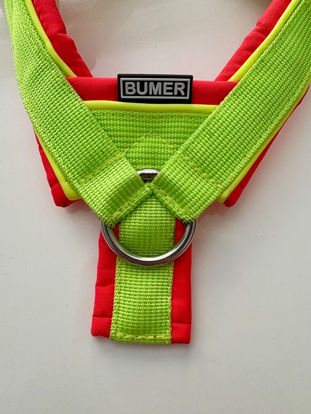 Leine & Halsband: Trailgeschirr Bumer – Neu (gemäss Beschreibung) aus Attiswil von Xyris 2