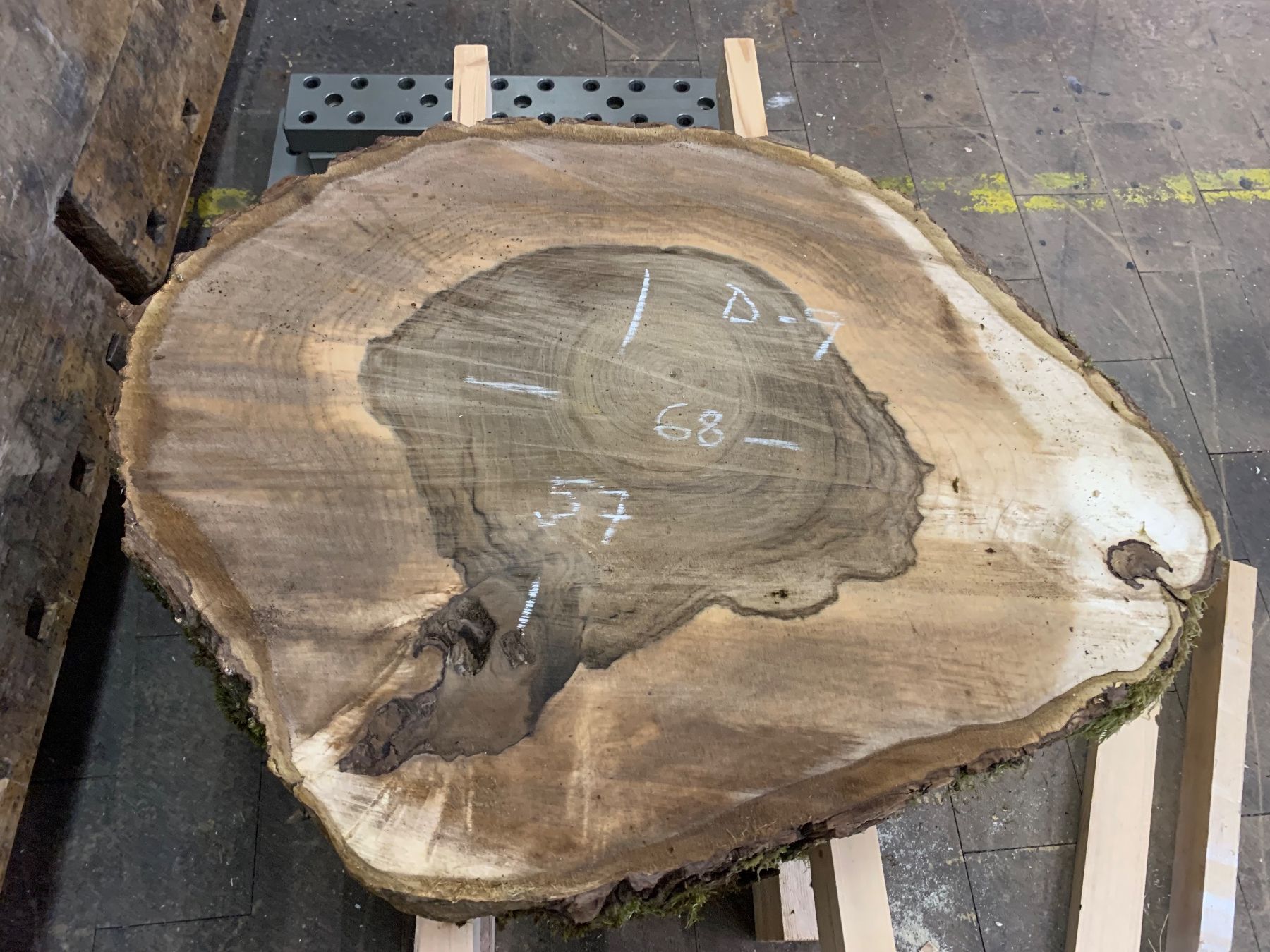 Holzartikel: Baumscheibe Nussbaum / Holzscheibe – Gebraucht aus Seedorf UR von Lochy 1