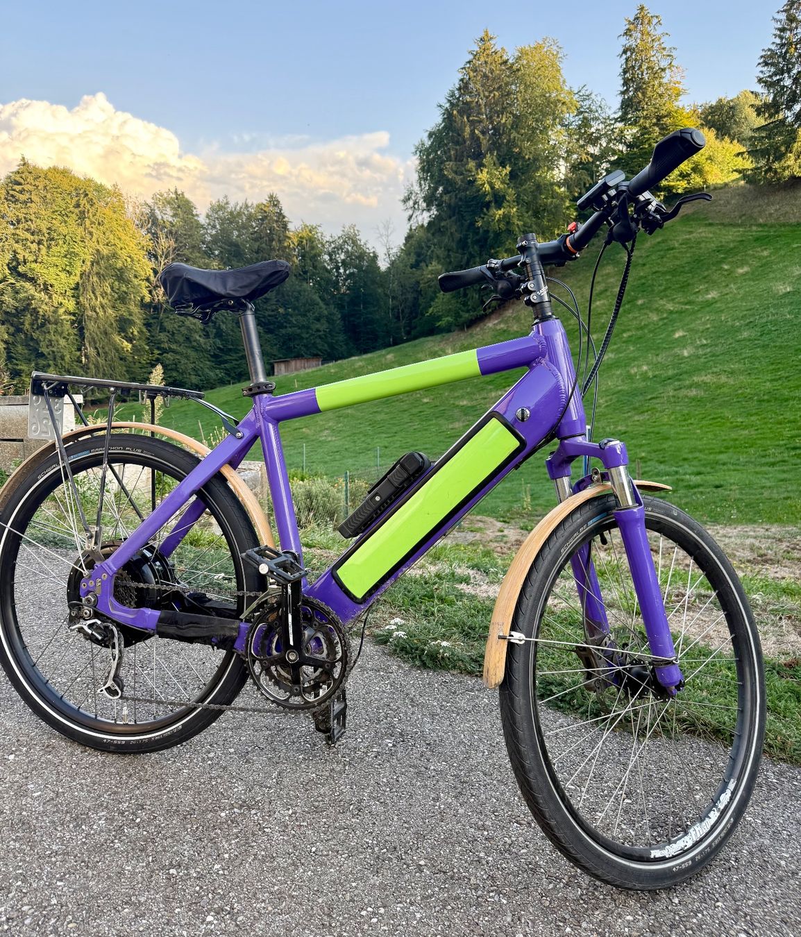 Stromer Biciclette: Stromer V1 , Defekt – Difettoso da Schwarzenburg venduto da Bdi1