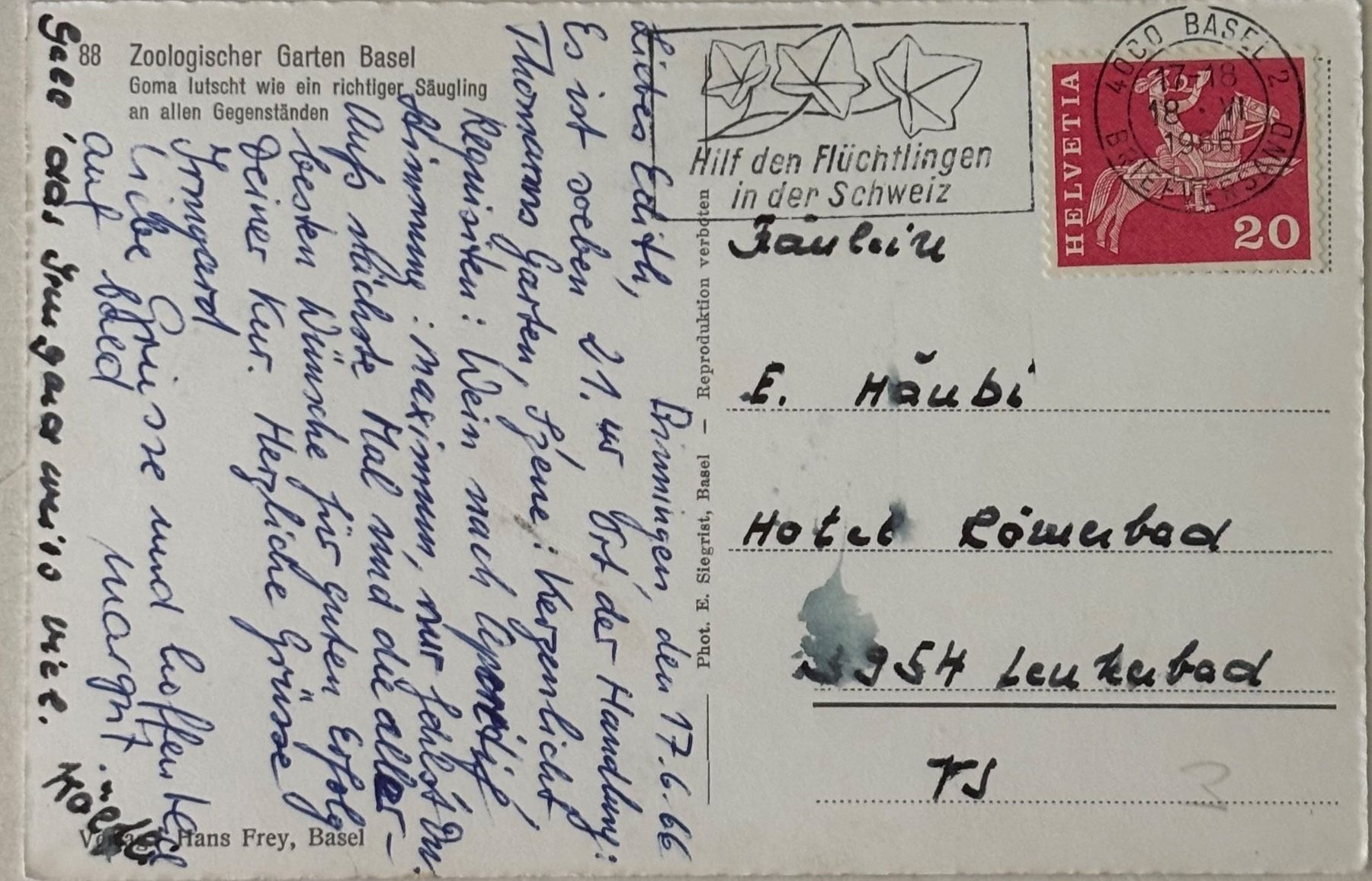 Cartes postales: Basel, Zoo, Goma Affe – D'occasion à Frauenfeld par Merk52 1
