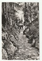 AK 1960, Küssnacht, Hohle Gasse Tellskapelle Schweizerjugend