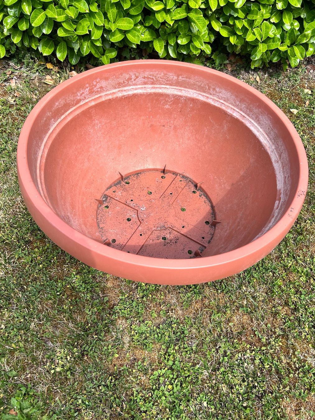 Vasi per fiori: Grosse Pflanzschale  Ø 85cm H 44cm. – Usato da Flaach venduto da Monisoldshop