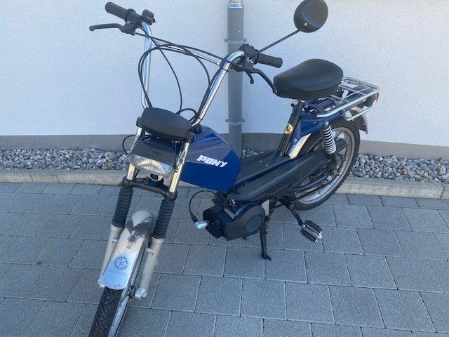 Pony Mofas: Pony GTX  Schweizer Qualität JG 2022 – Gebraucht aus Niederhasli von Tigerproduct