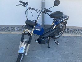 Pony GTX  Schweizer Qualität JG 2022