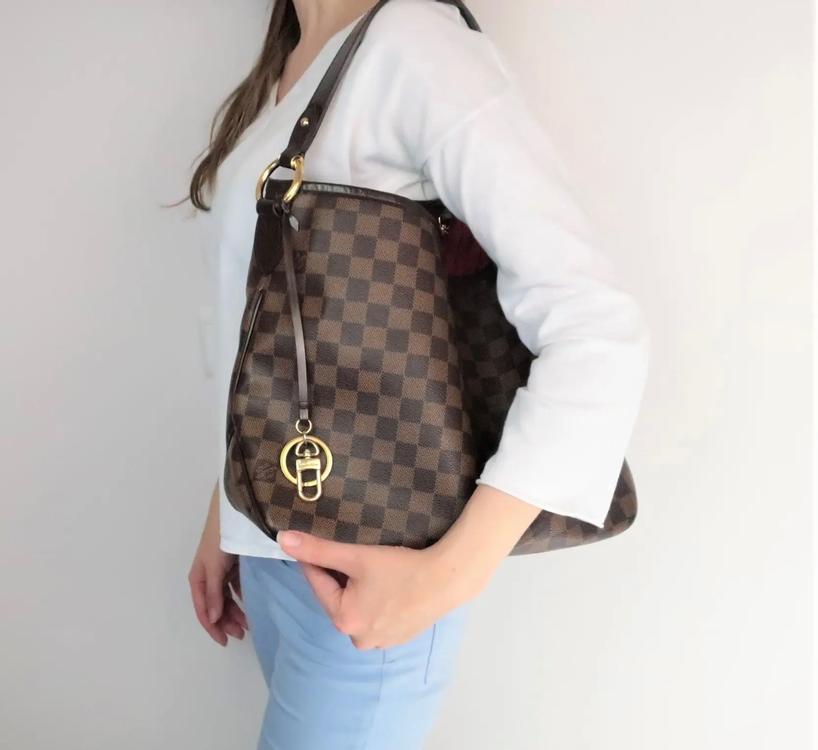 Original Louis Vuitton Delightful Damier Ebene NEU