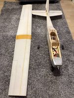 RC Modellflugzeug