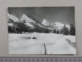 Skigebiet Obertoggenburg, Alp Sellamatt, Churfirsten, 1961