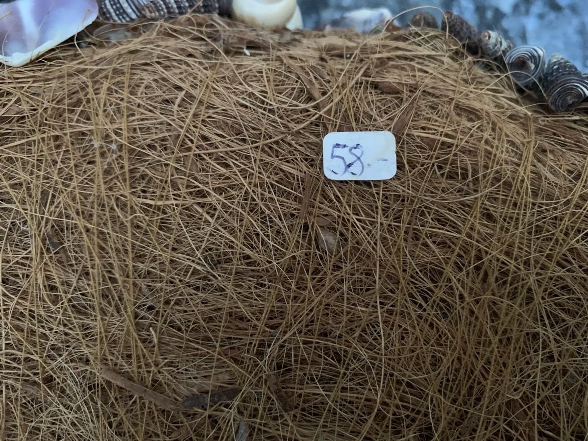 Alle Dekorationen: Maritimer Deko-Muschelkranz, Handarbeit, 37 cm – Gebraucht aus Rikon im Tösstal von miarosen 3