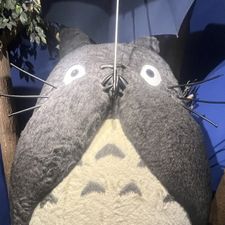 Profile image of yve_dl5v