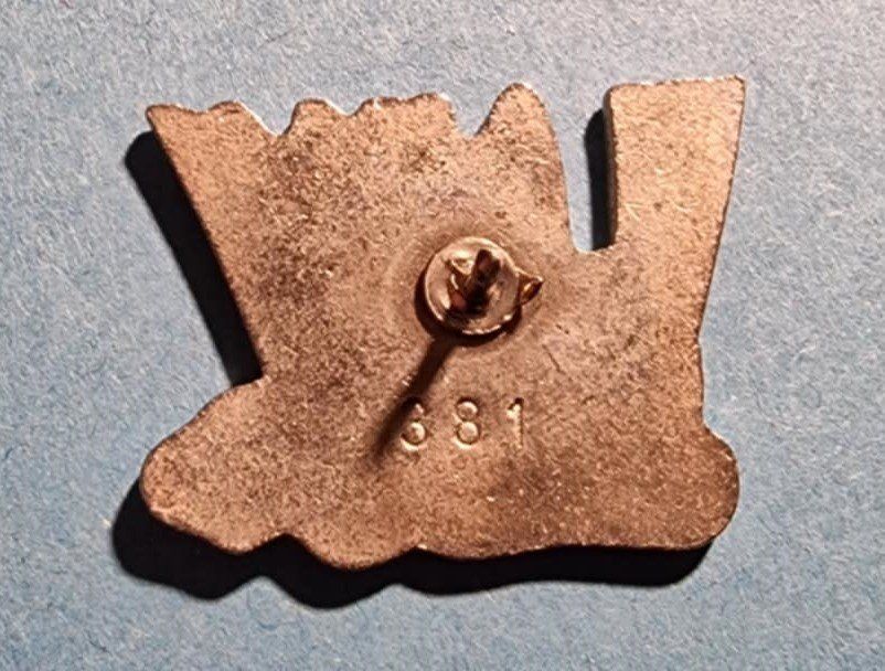 Plaketten & Abzeichen: Pin Swissair Flohmi numm. 381 – Gebraucht aus Härkingen von specialshapes 1