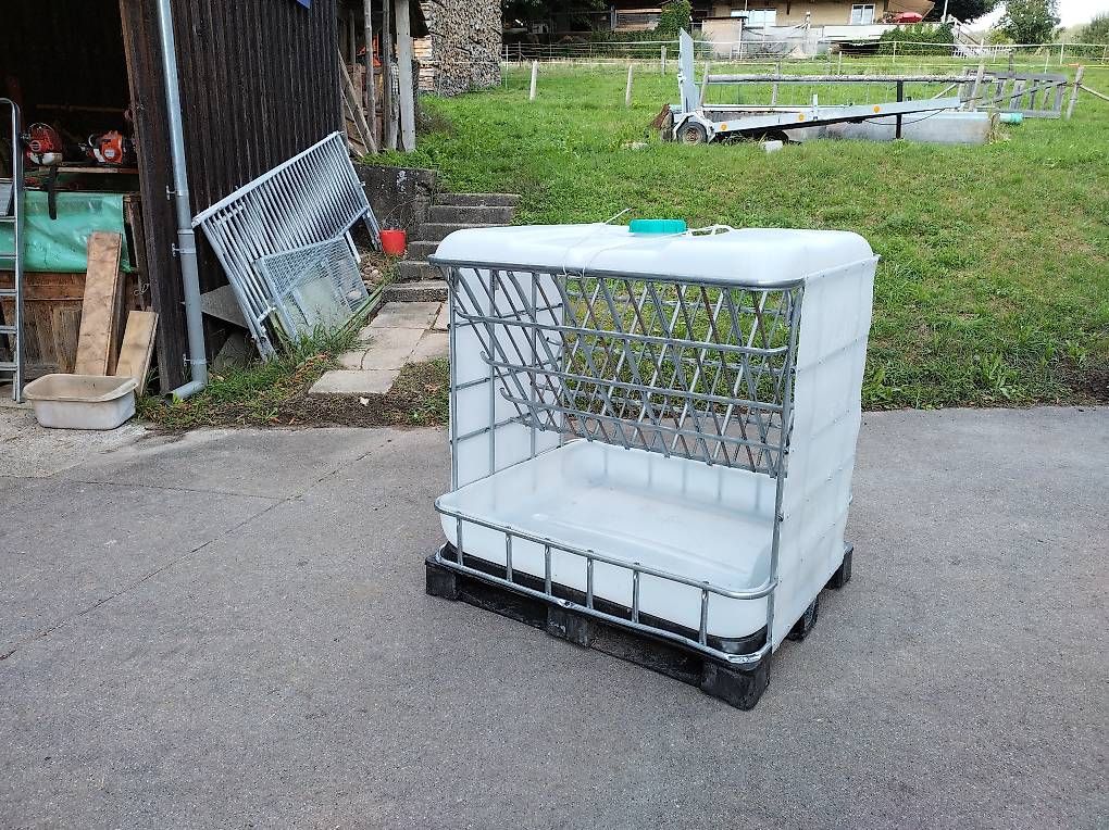 Altro in Accessori per animali: Futterraufe aus IBC Tank – Nuovo (secondo la descrizione) da Wichtrach venduto da Gfeui87