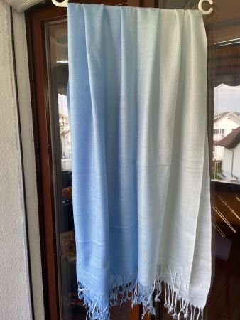 Pastmina 70% Cashmere 30% Silk Scarf - Baby Blue Winter