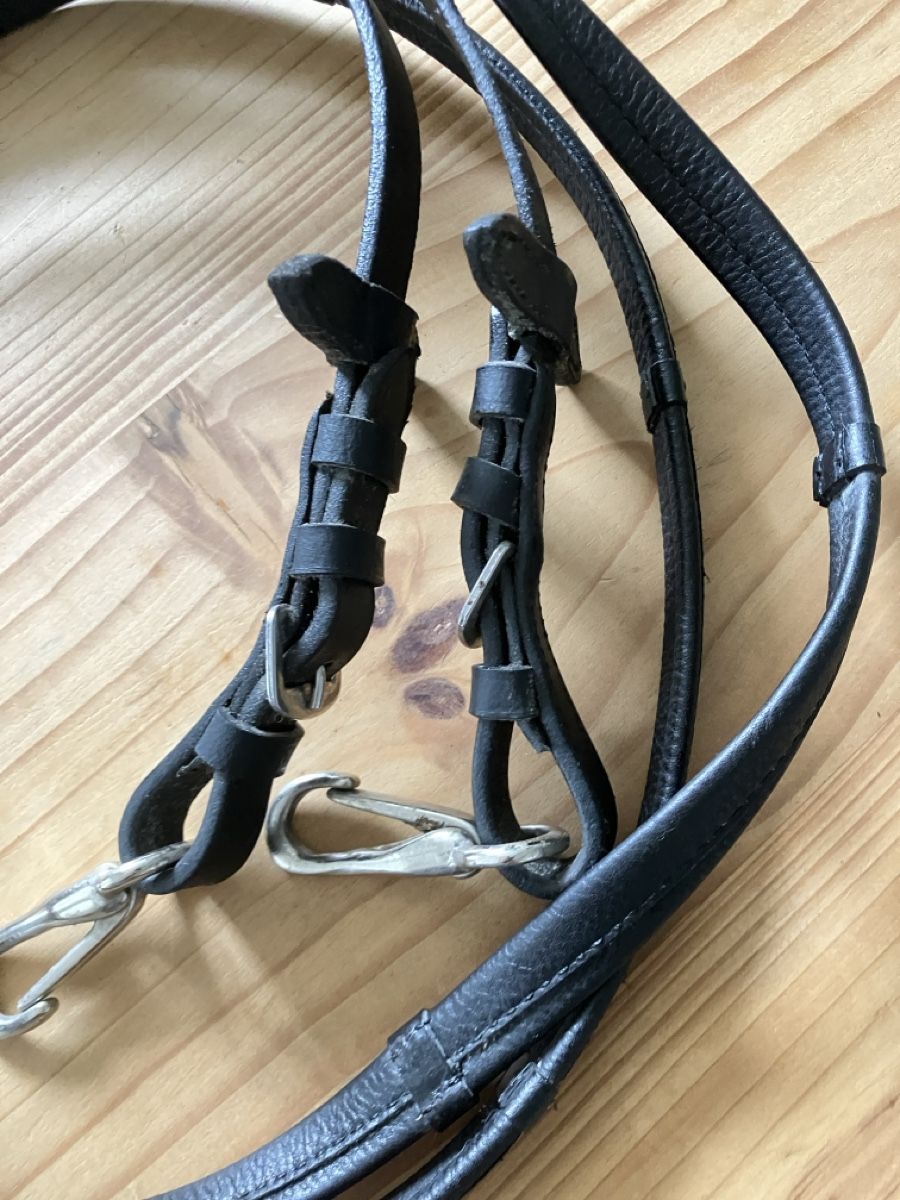 Zaumzeug & Halfter: Lederzügel schwarz mit Clips – Gebraucht aus Gränichen von  1