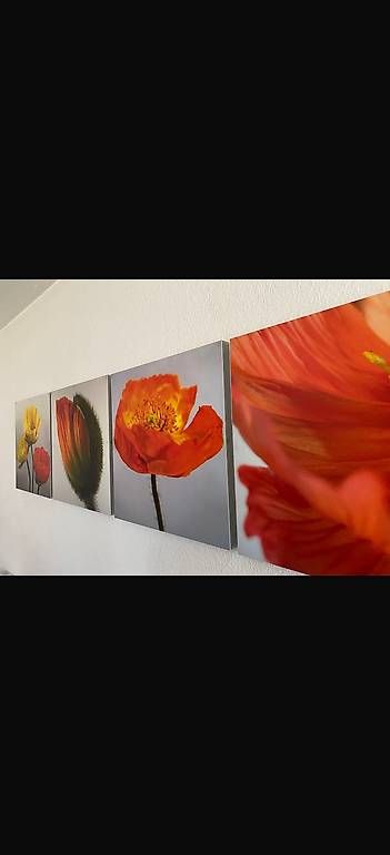 Foto & Immagini: Bilder Magnet mit Blume – Usato da Zürich venduto da pinish 1