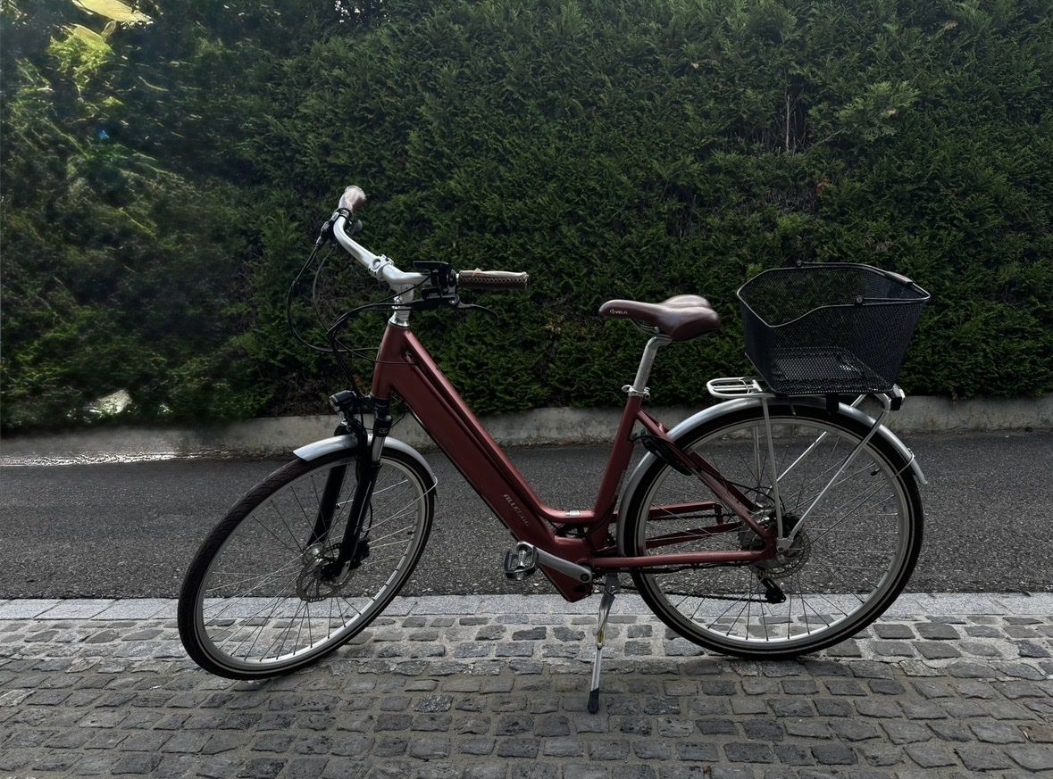 Biciclette: E-Bike City Allegro ACIL – Usato da Wallbach venduto da premiumcc999