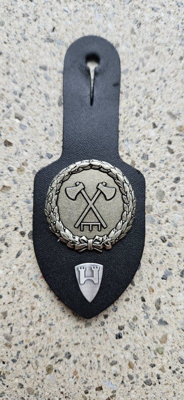 Schweizer Armee Placchette & Badge: *** Brustanhänger mit Spez. Abzeichen *** – Usato da Riedholz venduto da fr_sIruP