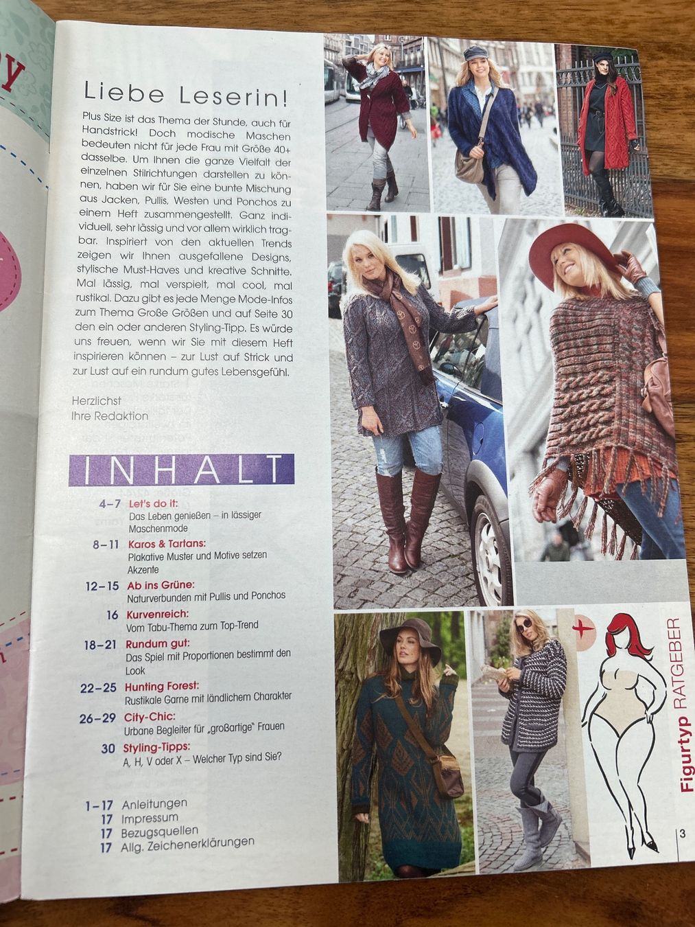 Riviste & Magazine: Strickmode Plus Size Zeitschrift Herbst/Winter Gr.40-52 – Usato da Deitingen venduto da dan_2fc9 1