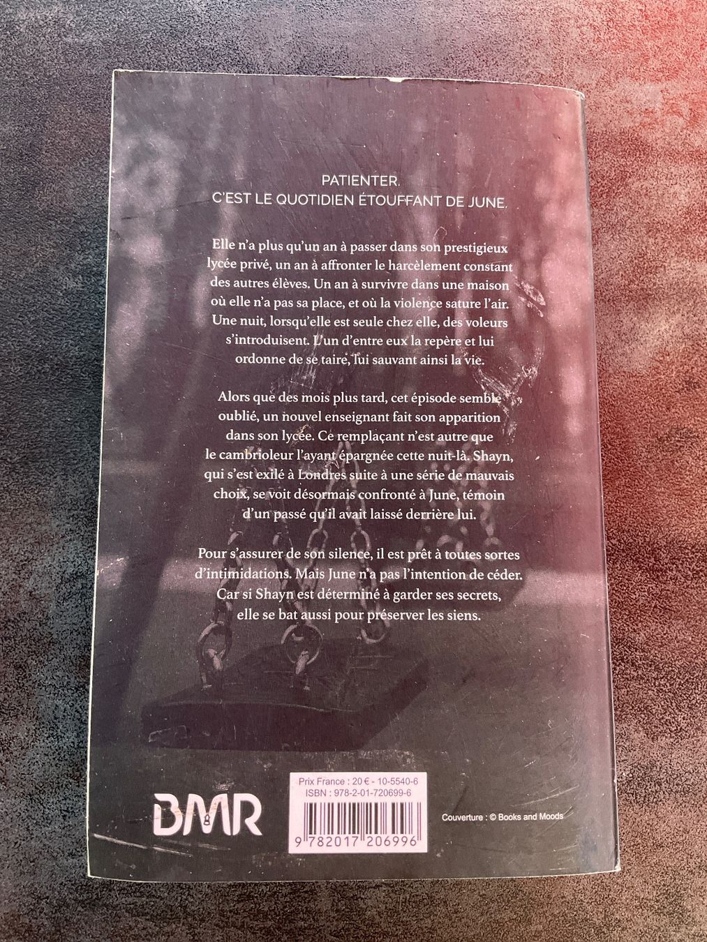 Libri: Trouble Maker, Laura Swan - Tome 1 – Usato da Avenches venduto da Lactobacille 3
