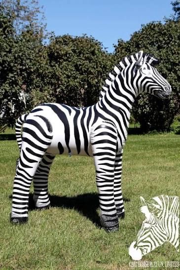 Salvagente: Aublasbare inflatable jet creation zebra – Usato da Le Locle venduto da boe_d6hd