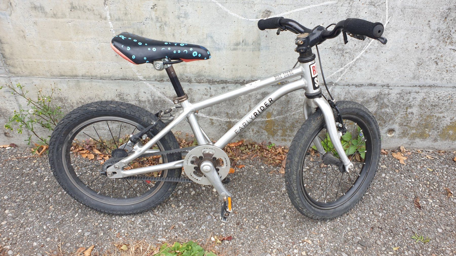Early Rider Biciclette: Early Rider 16" – Usato da Brügg BE venduto da admawa 1